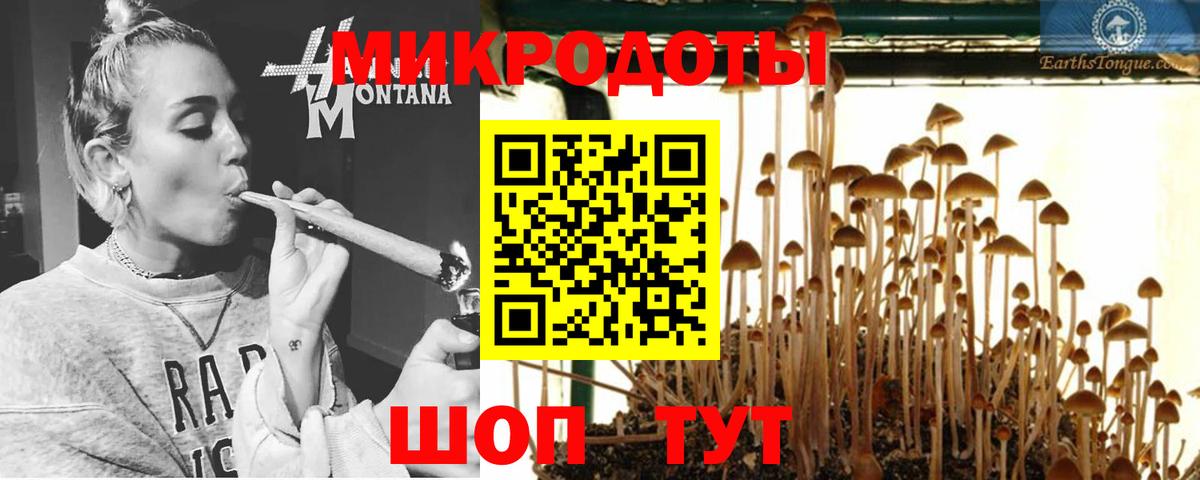 Псилоцибиновые грибы мицелий Чайковский