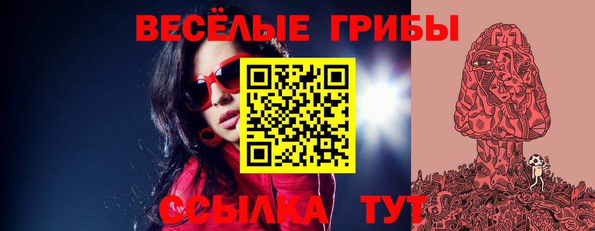 Чайковский  Псилоцибиновые грибы прущие грибы  Галлюциногенные грибы Psilocybine cubensis  Вход с VPN 